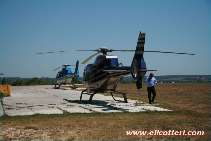 elifoto (210)
